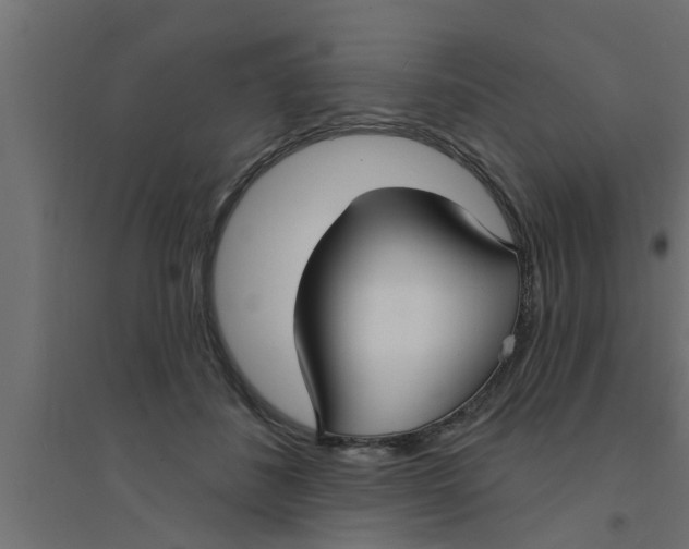 X0000094230508200711241748