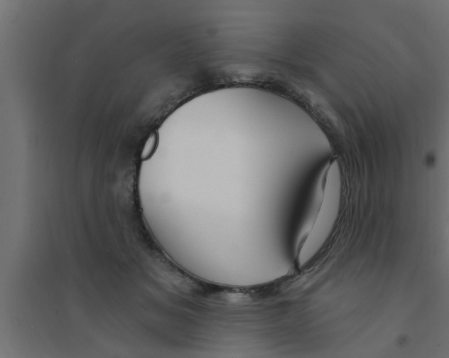 X0000094230509200711241748