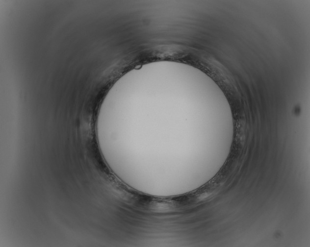 X0000094230510200711241748