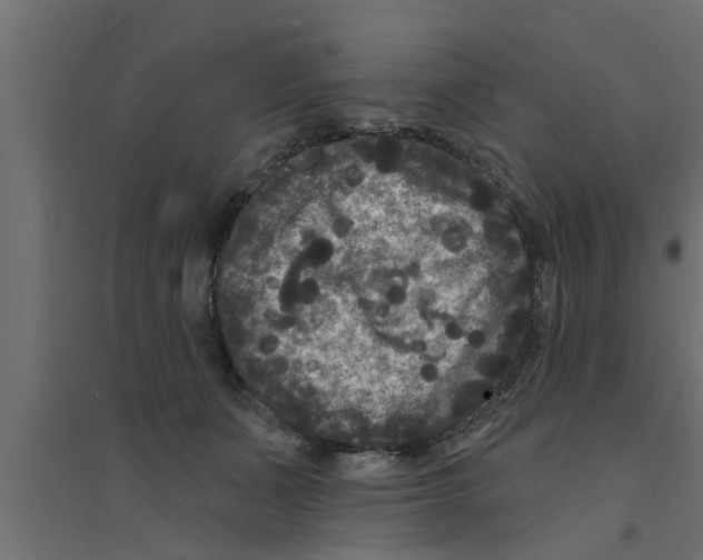 X0000094230511200711241748