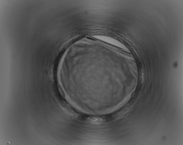 X0000094230512200711241748