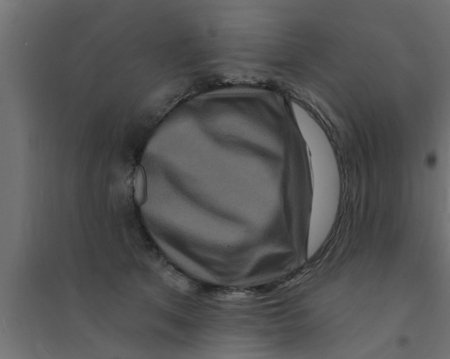 X0000094230513200711241748