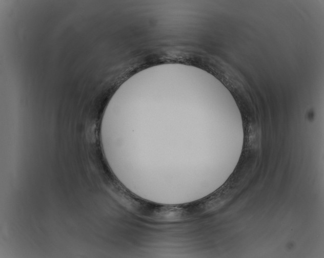 X0000094230514200711241748