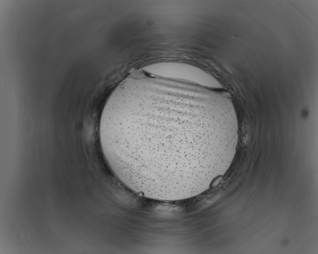 X0000094230515200711241748
