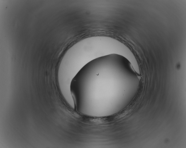 X0000094230516200711241748