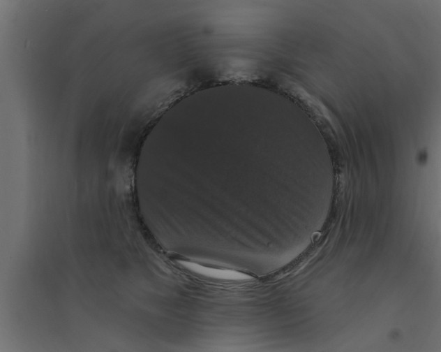 X0000094230517200711241748