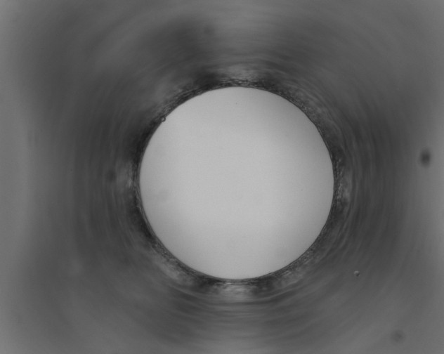 X0000094230518200711241748