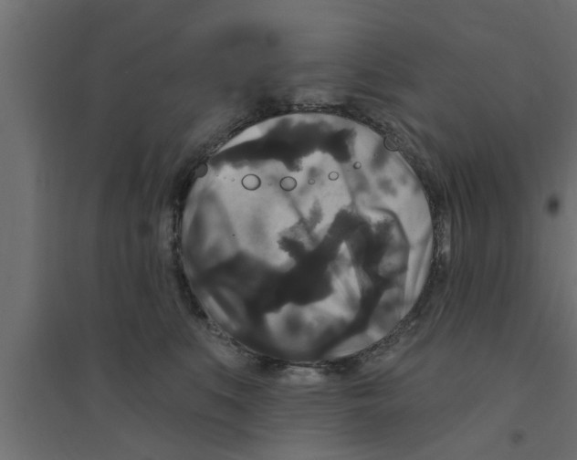 X0000094230519200711241748