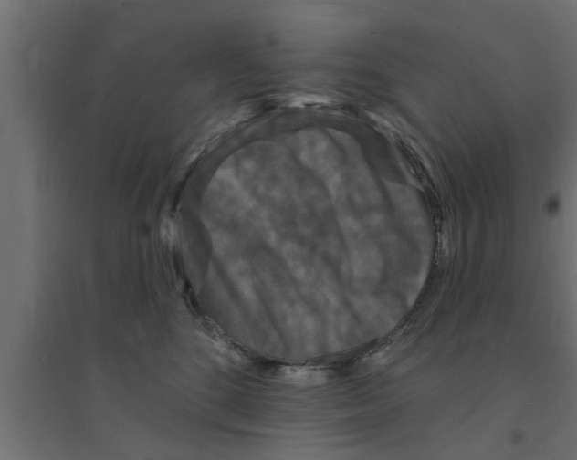 X0000094230520200711241748