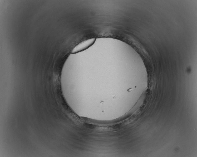 X0000094230521200711241748