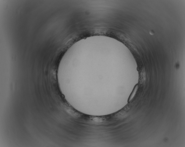 X0000094230522200711241748