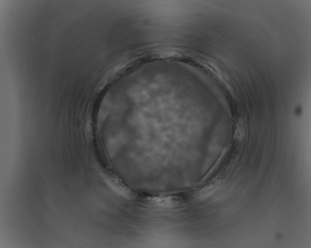 X0000094230524200711241748
