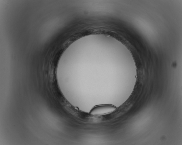 X0000094230525200711241748