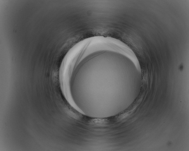 X0000094230526200711241748