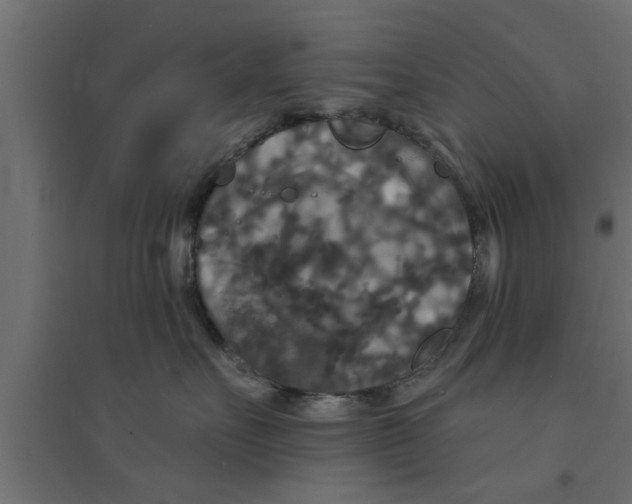 X0000094230527200711241748