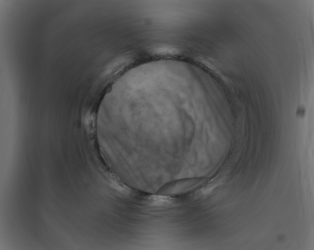 X0000094230528200711241748
