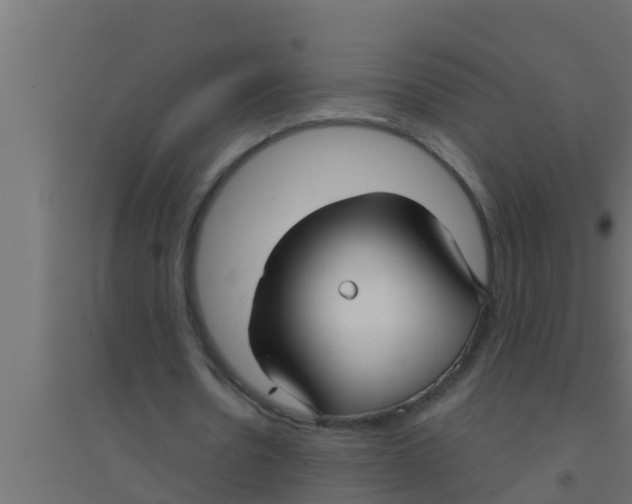 X0000094230530200711241747
