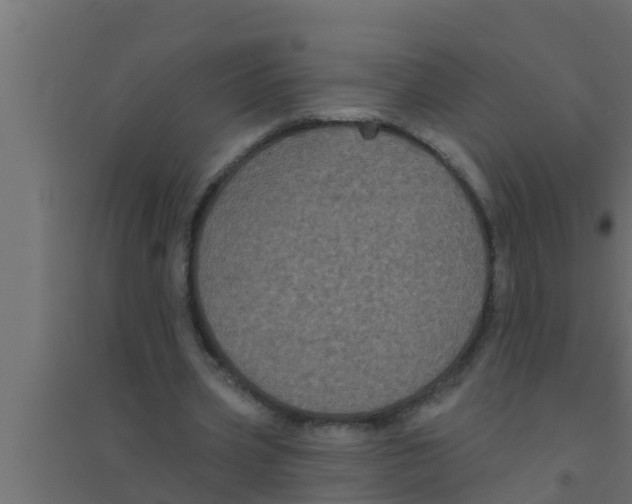 X0000094230533200711241747