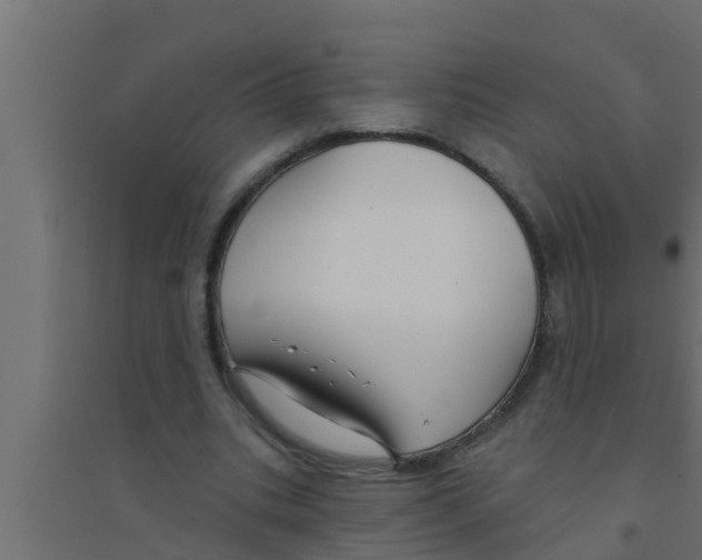 X0000094230535200711241747