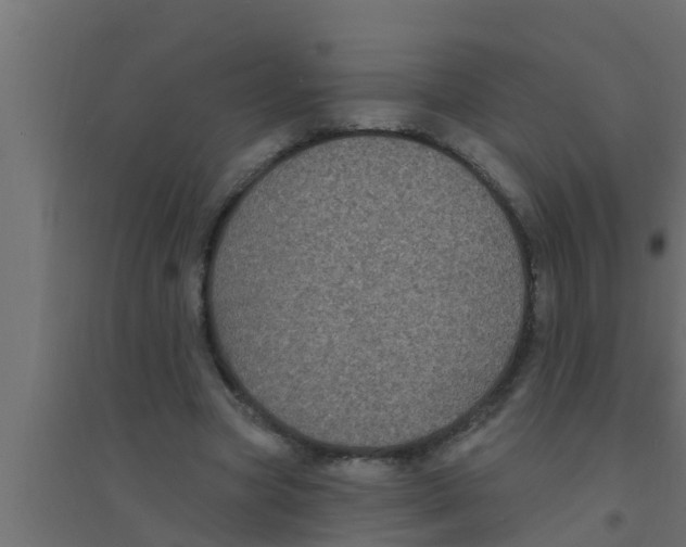 X0000094230537200711241747