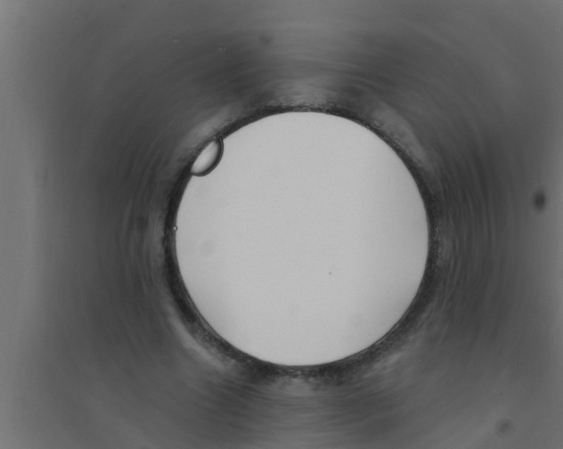X0000094230538200711241747