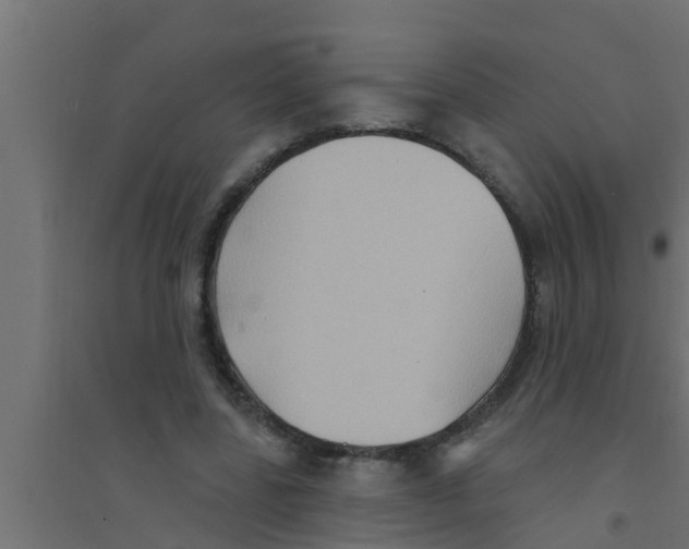 X0000094230539200711241747