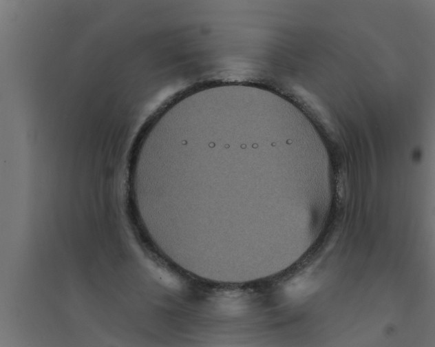 X0000094230540200711241747