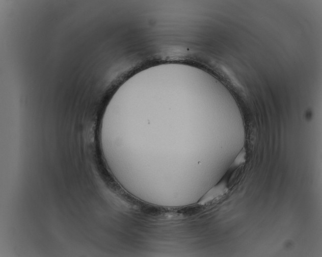 X0000094230543200711241747