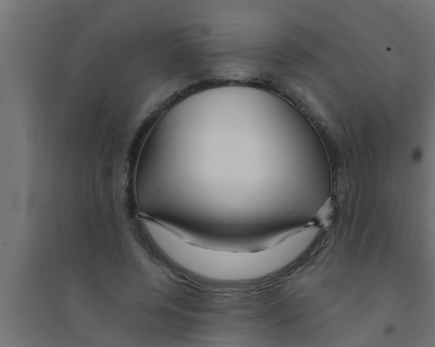 X0000094230544200711241747