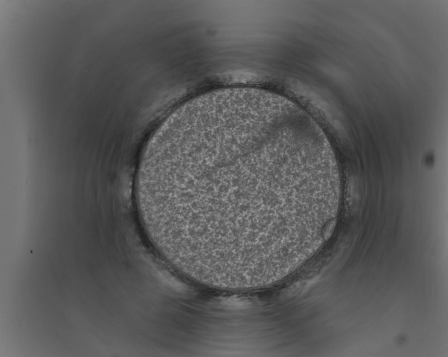 X0000094230545200711241747