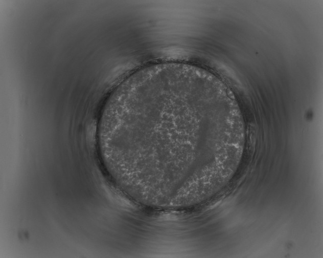 X0000094230550200711241747