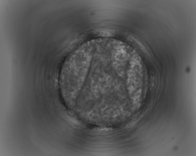 X0000094230553200711241747