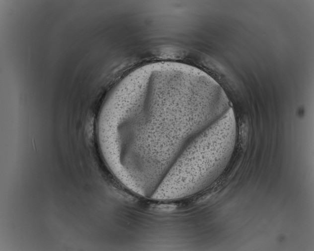 X0000094230554200711241747