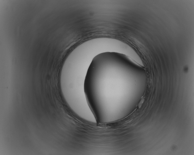 X0000094230556200711241747