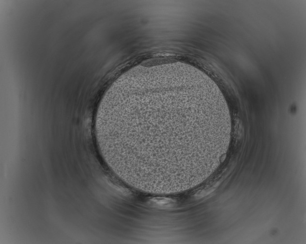 X0000094230557200711241747