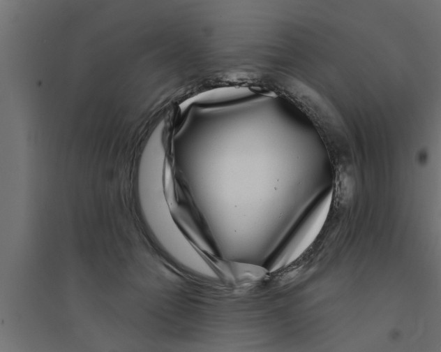 X0000094230558200711241747