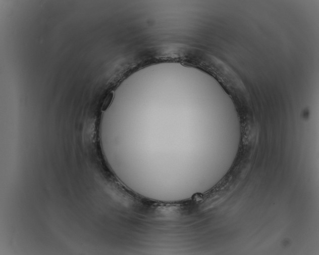 X0000094230560200711241747