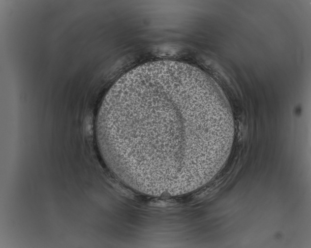 X0000094230561200711241747