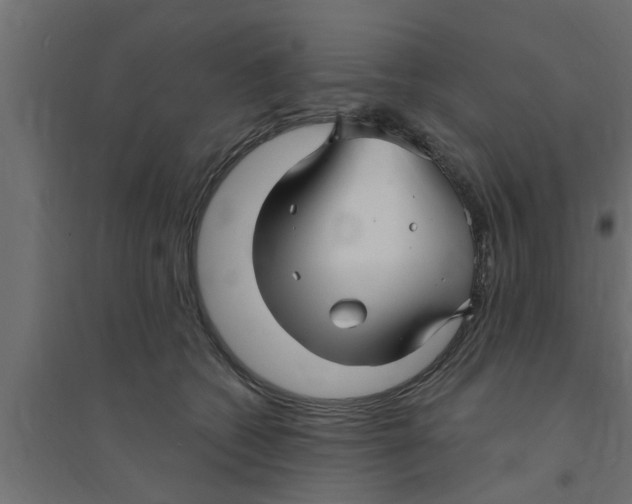 X0000094230562200711241747