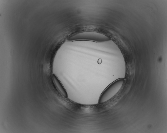 X0000094230564200711241747
