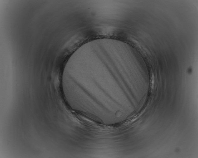 X0000094230566200711241747