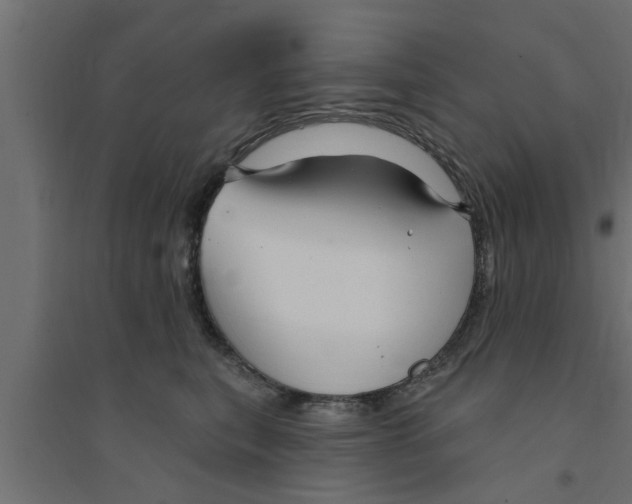 X0000094230567200711241747