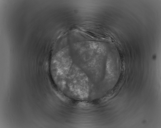 X0000094230568200711241747