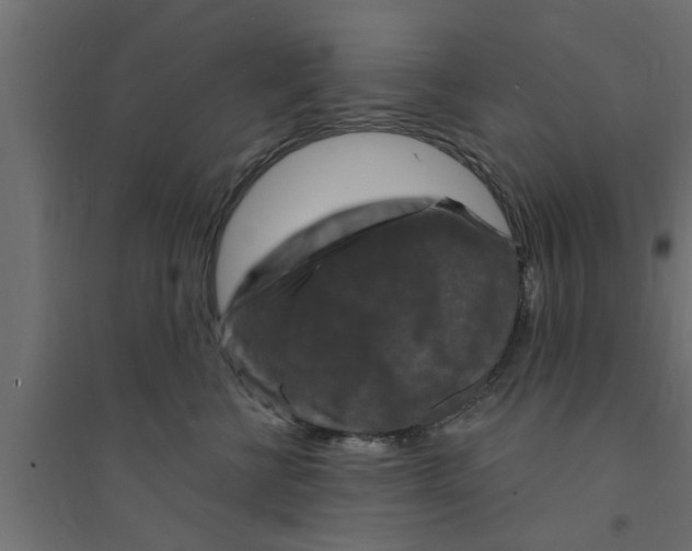 X0000094230570200711241747