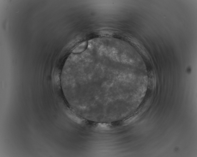 X0000094230573200711241747