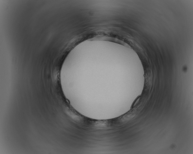 X0000094230574200711241747