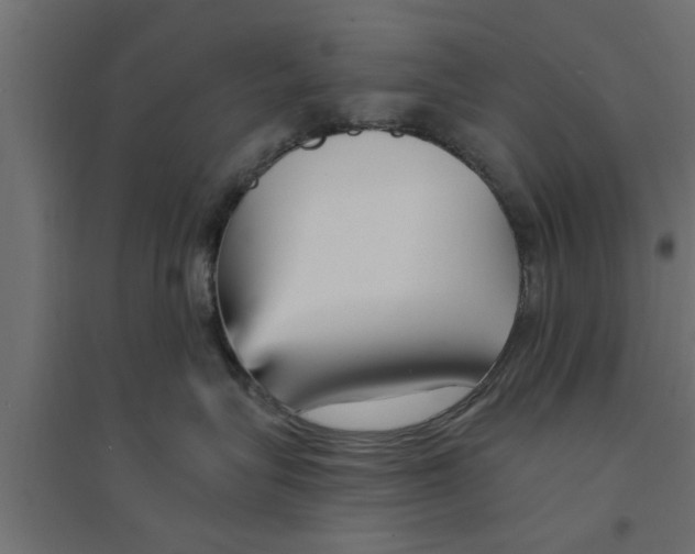 X0000094230575200711241747