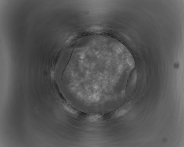 X0000094230576200711241747