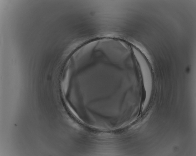 X0000094230577200711241747