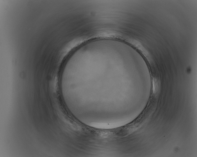 X0000094230579200711241747
